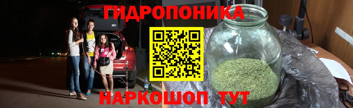 Бошки Шишки планчик  МАРИХУАНА конопля  Бошки марихуана SATIVA & INDICA  Дюртюли  Канабис семена 